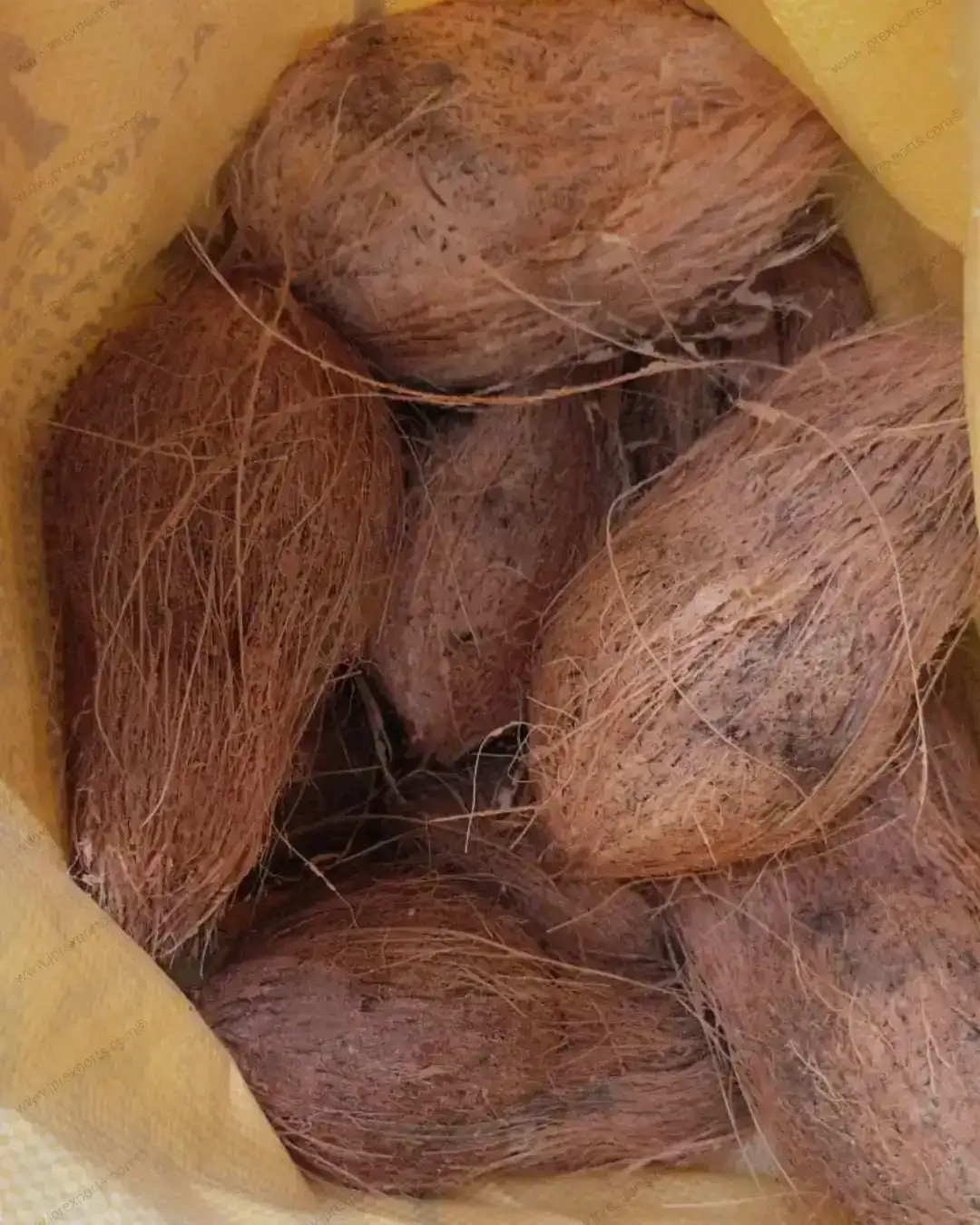 Coconut Export