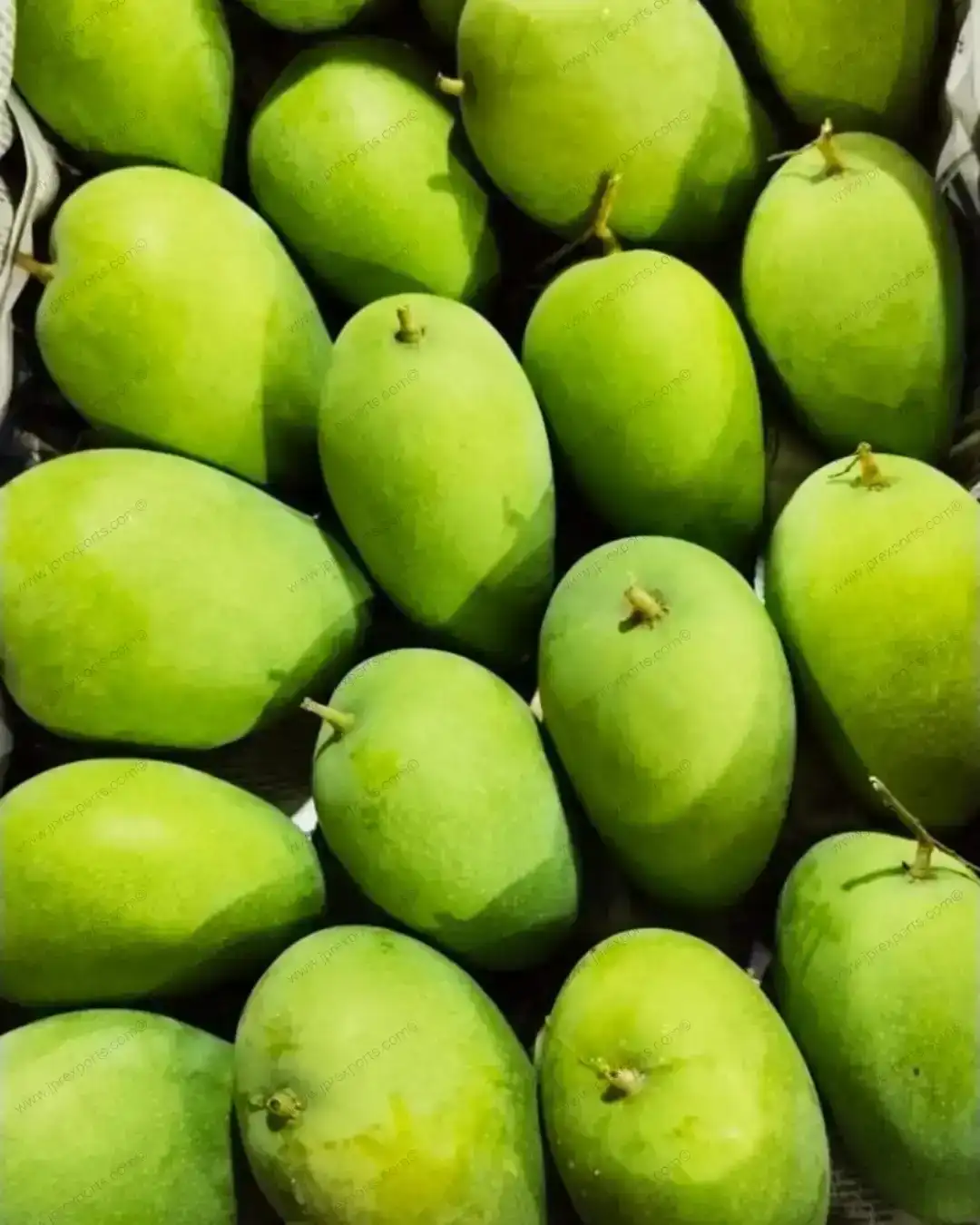 Agri-produce export