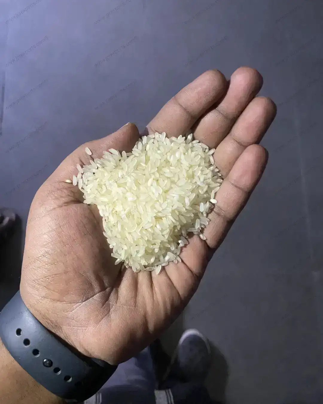 Rice Export